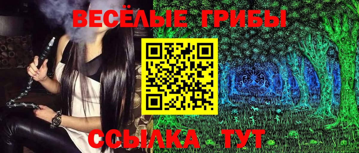 Псилоцибиновые грибы Psilocybe  Вход с VPN  Лесосибирск 